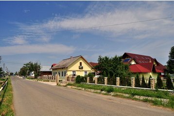 Romania Privát Arbore, Esterno